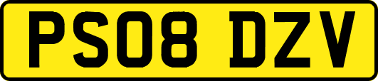 PS08DZV