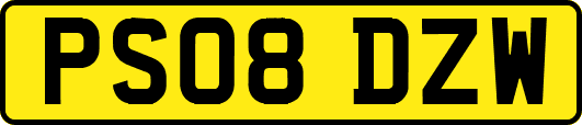 PS08DZW