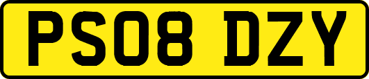 PS08DZY
