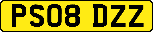 PS08DZZ