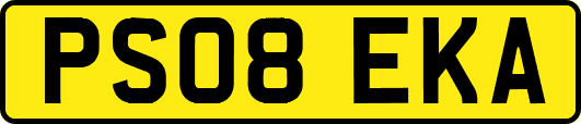 PS08EKA