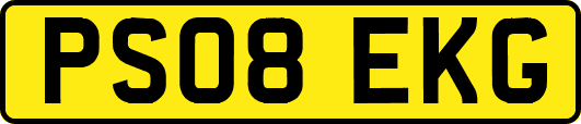 PS08EKG