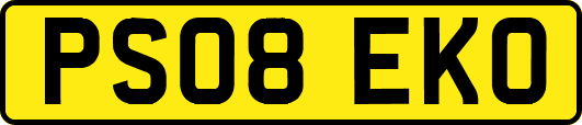 PS08EKO