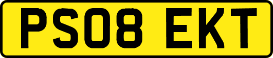 PS08EKT