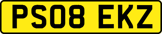 PS08EKZ