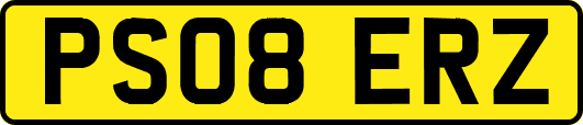 PS08ERZ