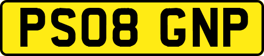 PS08GNP
