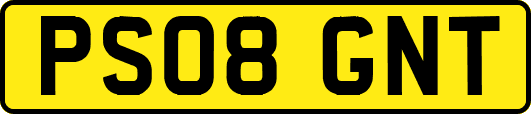 PS08GNT