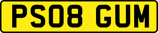 PS08GUM