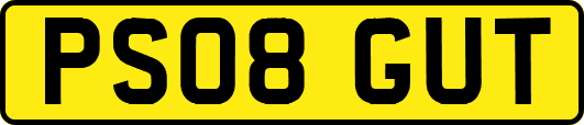 PS08GUT