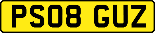 PS08GUZ