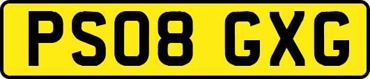 PS08GXG