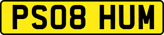 PS08HUM