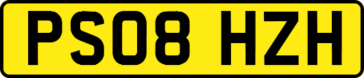 PS08HZH