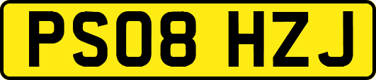 PS08HZJ