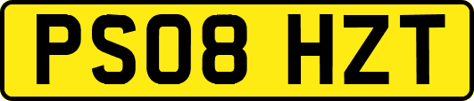 PS08HZT