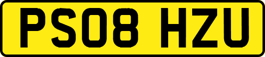 PS08HZU