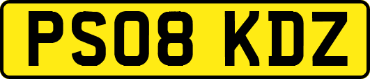 PS08KDZ