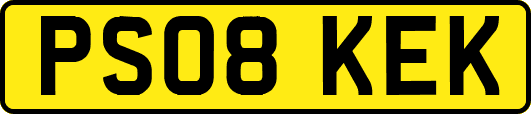 PS08KEK