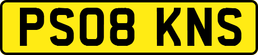 PS08KNS