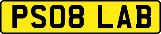 PS08LAB