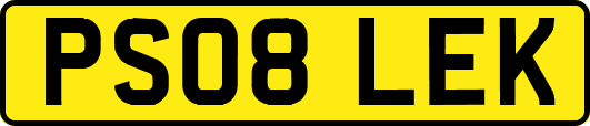 PS08LEK