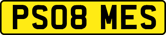 PS08MES