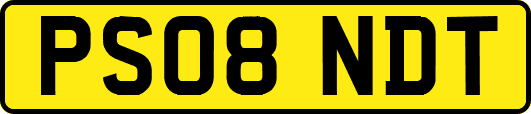 PS08NDT