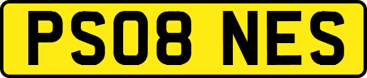 PS08NES
