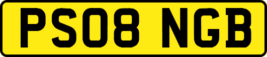 PS08NGB