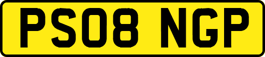 PS08NGP