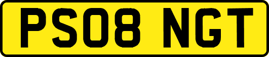 PS08NGT