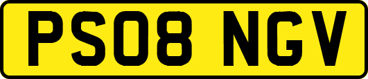 PS08NGV