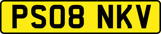 PS08NKV