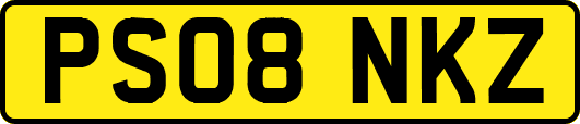 PS08NKZ