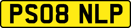PS08NLP