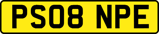 PS08NPE