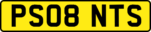 PS08NTS