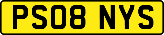 PS08NYS
