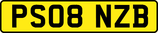 PS08NZB