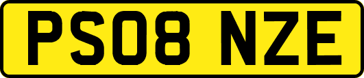 PS08NZE