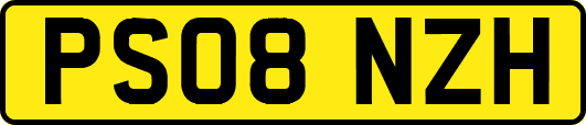 PS08NZH