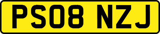 PS08NZJ