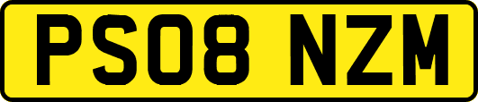 PS08NZM
