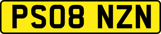 PS08NZN