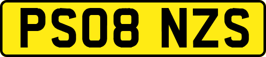 PS08NZS
