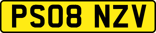 PS08NZV