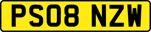 PS08NZW