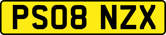 PS08NZX
