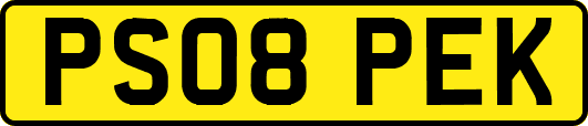 PS08PEK